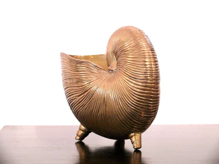 Nautilus Brass Shell Vase 2