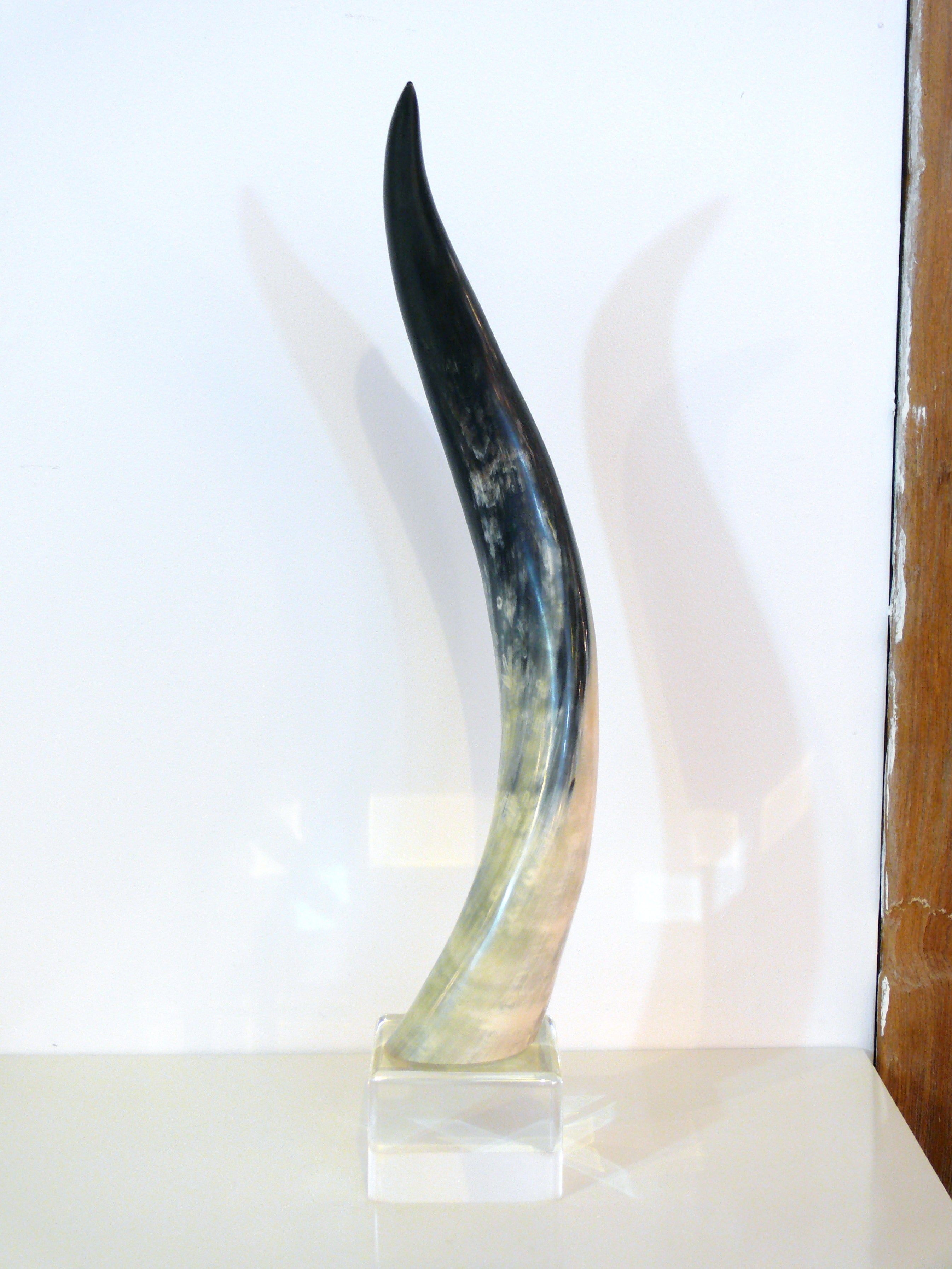 Horn On Lucite Sculpture