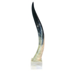 Horn On Lucite Sculpture