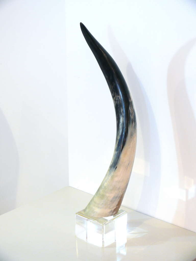1970's horn and lucite sculpture.  Impressive in scale and a great addition to any decor