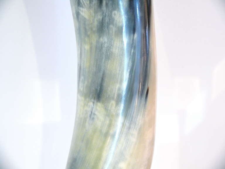 American Horn On Lucite Sculpture