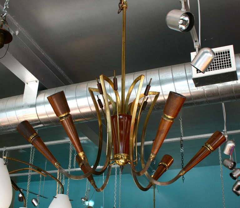 Elegant brass and wood chandelier, reeds and grasses motif.