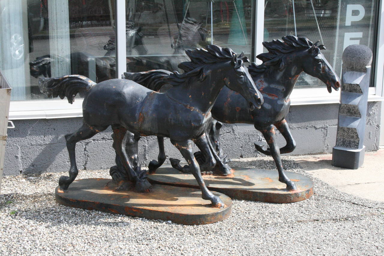 Beautiful pair of cast iron racing horses from a Saratoga Springs New York estate, early 20th c. Beautiful age, patina, original finish. The pair can be positioned separately, racing or flanking an entrance.