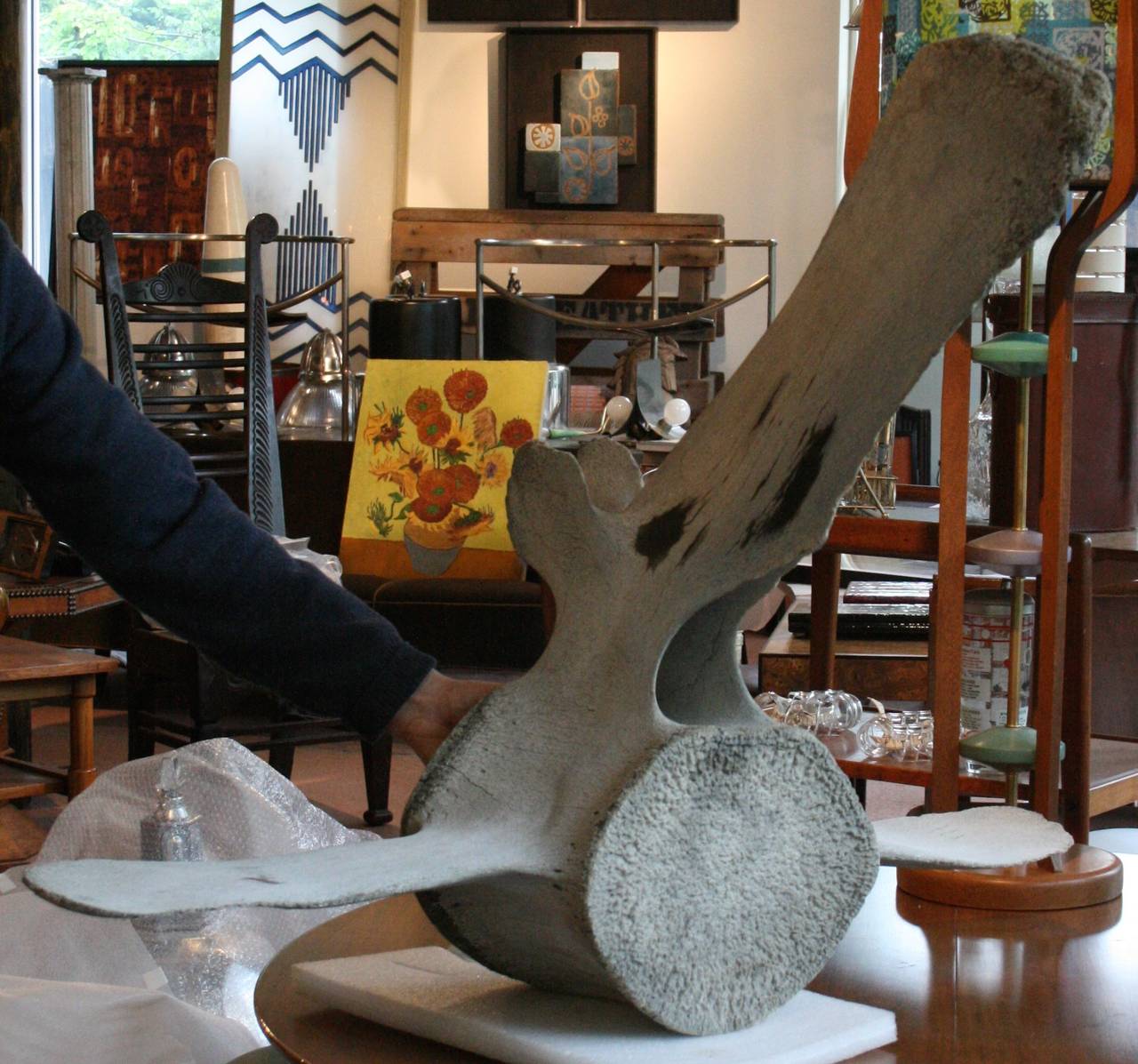 blue whale vertebrae
