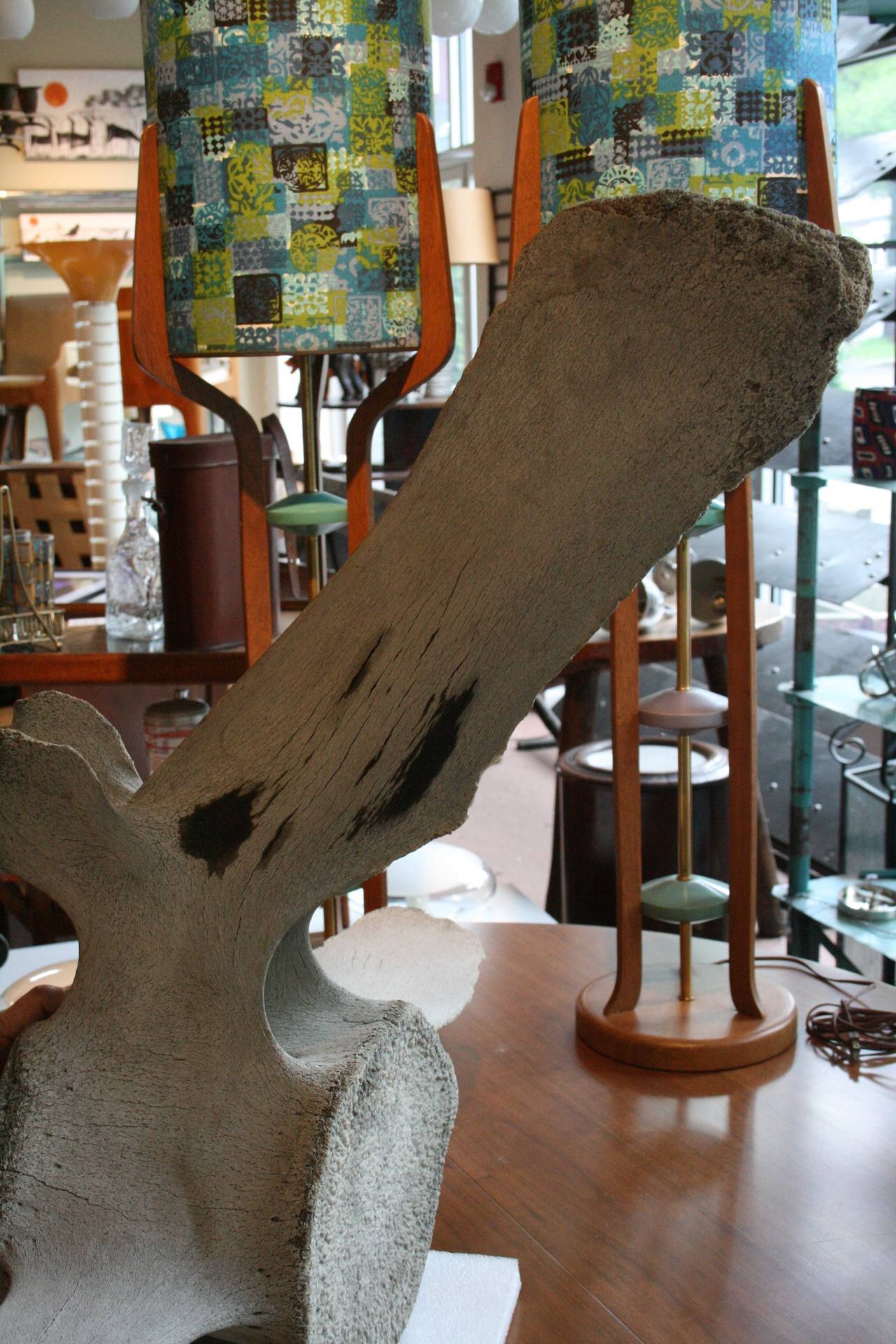 Monumental 18th Century Fossilized Whale Vertebra Bone In Excellent Condition In Pound Ridge, NY