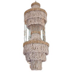 Shell Light Fixture