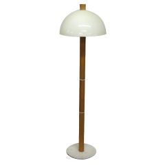 Modern Floor Lamp