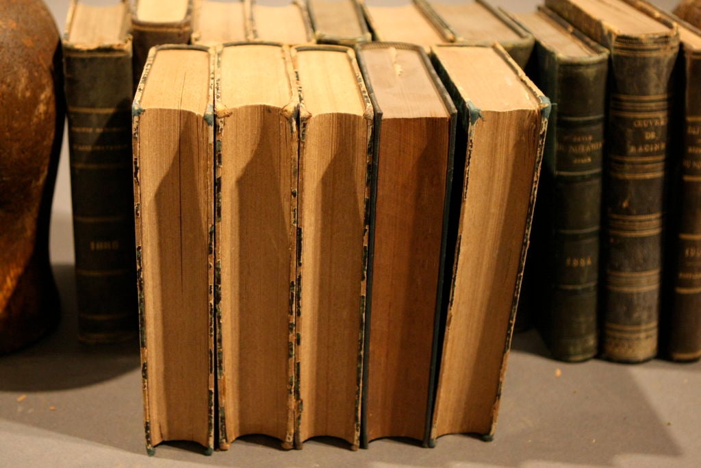 19th Century Collection of 14 French 19th century leather bound books