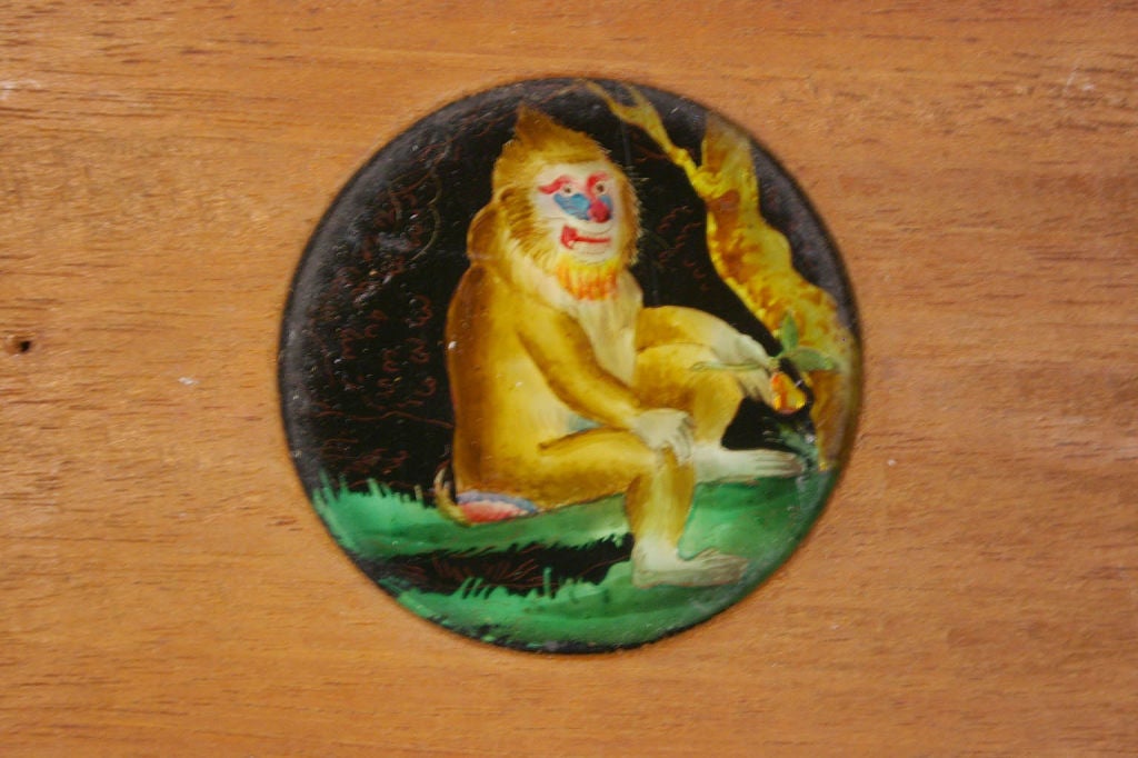 British Wonderful 19th century handpainted magic lantern monkey