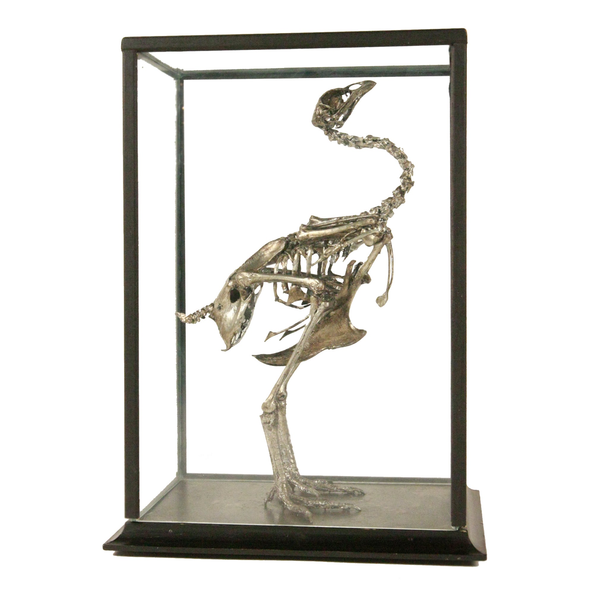 Antiqued Silver Leaf Crested Chicken (Sierkip) Skeleton  For Sale