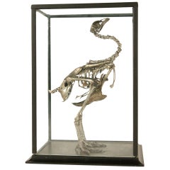 Antiqued Silver Leaf Crested Chicken (Sierkip) Skeleton