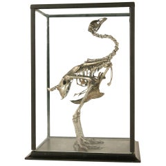 Antiqued Silver Leaf Crested Chicken (Sierkip) Skeleton 