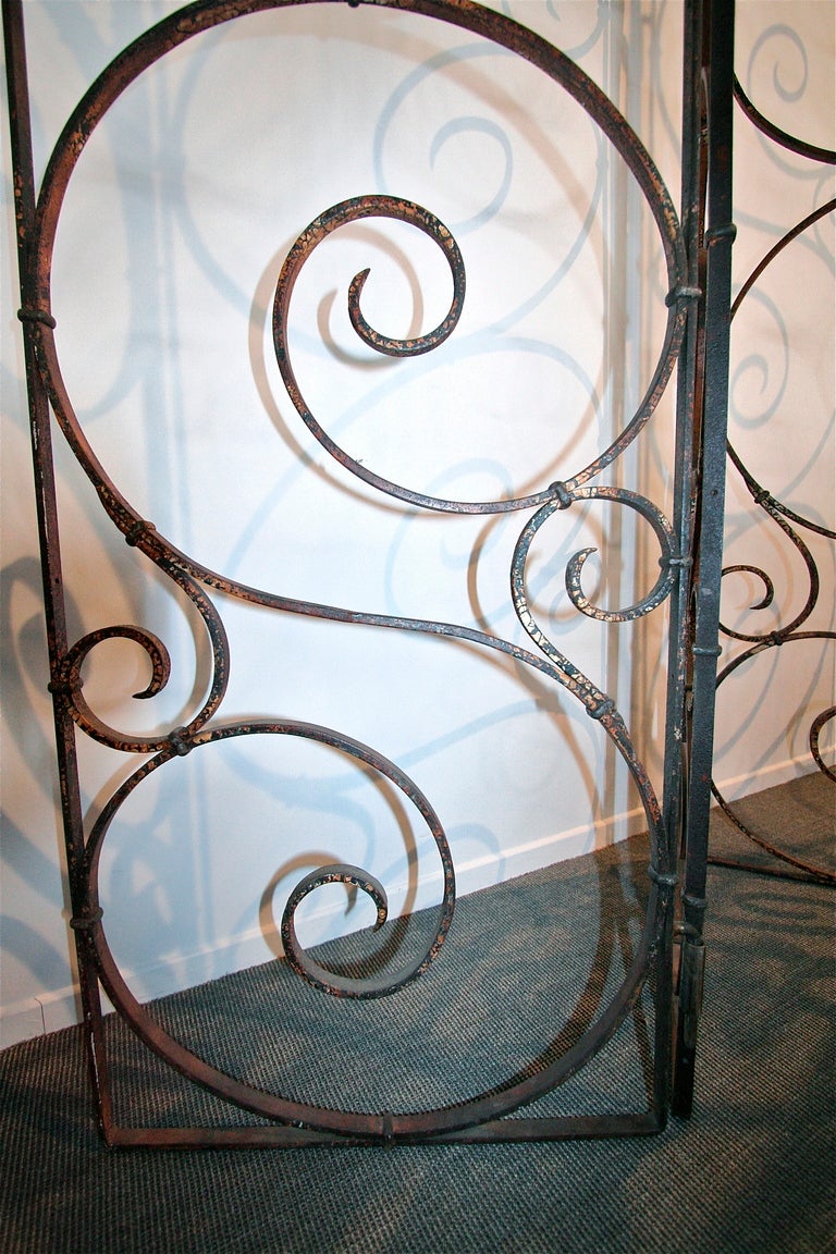 Argentine Argentinian 1960s Wrought Iron Screen with Four Panels
