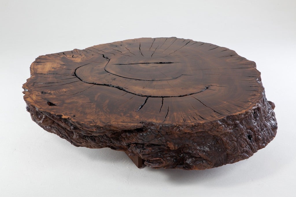 Pedro Petry Fallen Imbuia Wood Center Table at 1stDibs