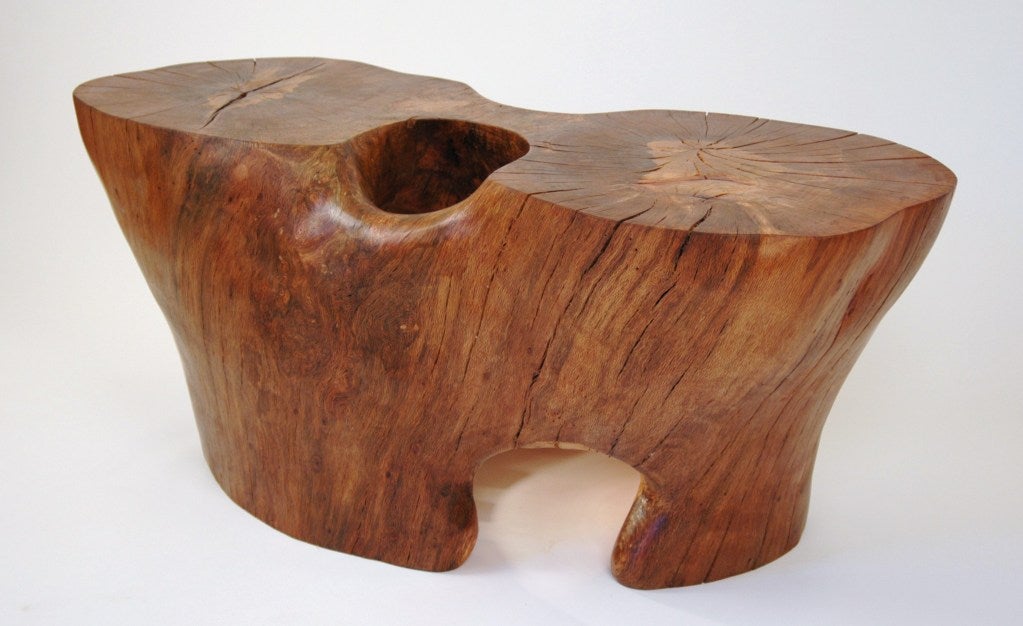 Fallen Red Oak Bench/Coffee Table