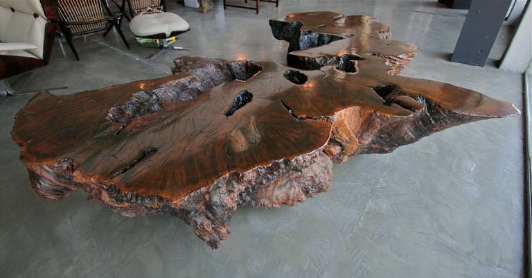 Beautiful table/bench made of 300 year old fallen imbuia wood by Brazilian artist Pedro Petry.  On wheels for ease of movement.

Please call or use the contact dealer link below to reach us directly with any questions regarding this item. We are