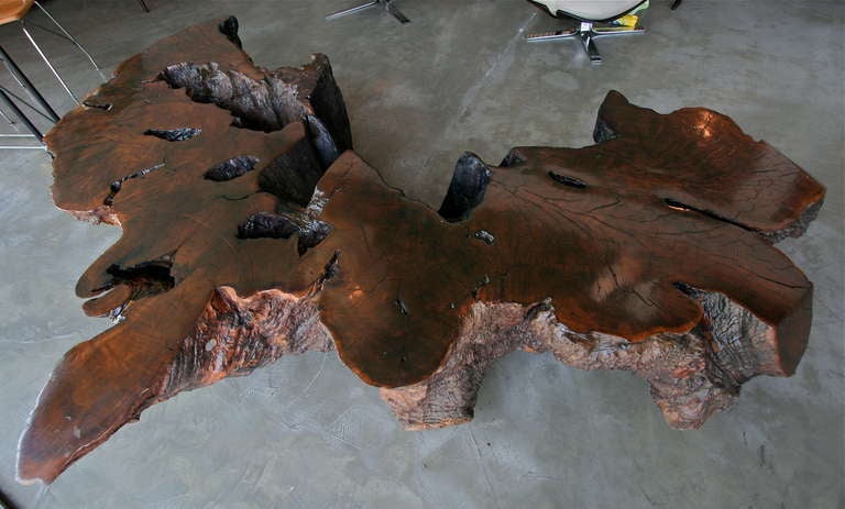 Brazilian Pedro Petry Fallen Imbuia Wood Coffee Table / Bench