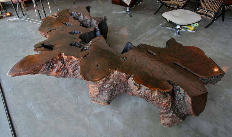 Pedro Petry Fallen Imbuia Wood Coffee Table / Bench In Excellent Condition In Los Angeles, CA
