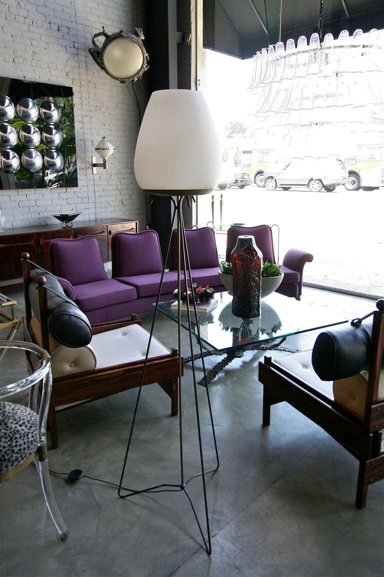 Mid-20th Century Tulip Floor Lamp