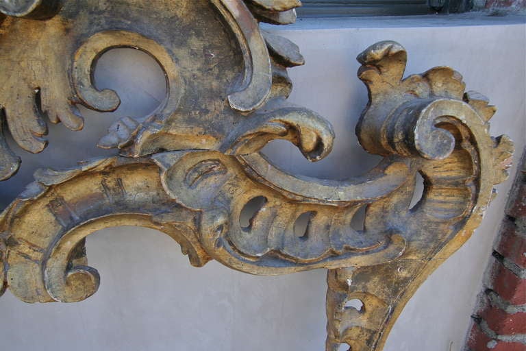 Wood Carved 19th Century Italian Architectural Fragment