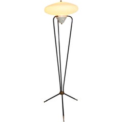 1960s Stilnovo Metal and Opaque Glass Floor Lamp