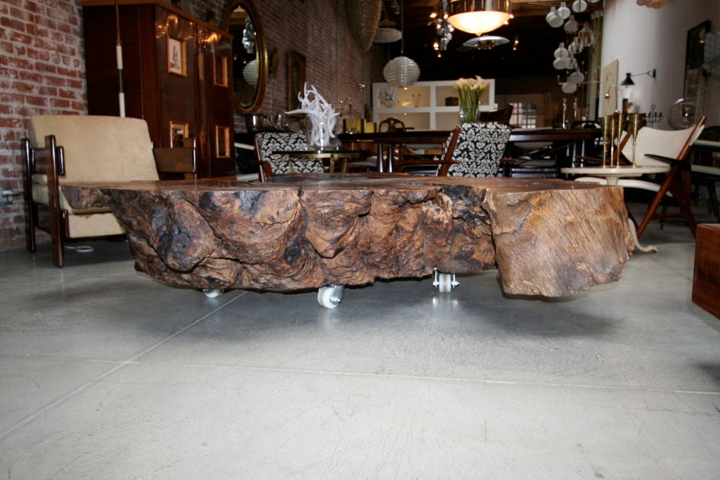 Pedro Petry Fallen Imbuia Wood Bench/Table at 1stDibs