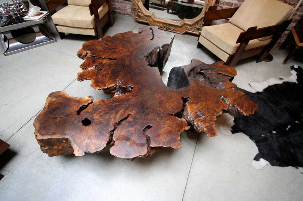 Pedro Petry Fallen Imbuia Wood Bench/Table at 1stDibs
