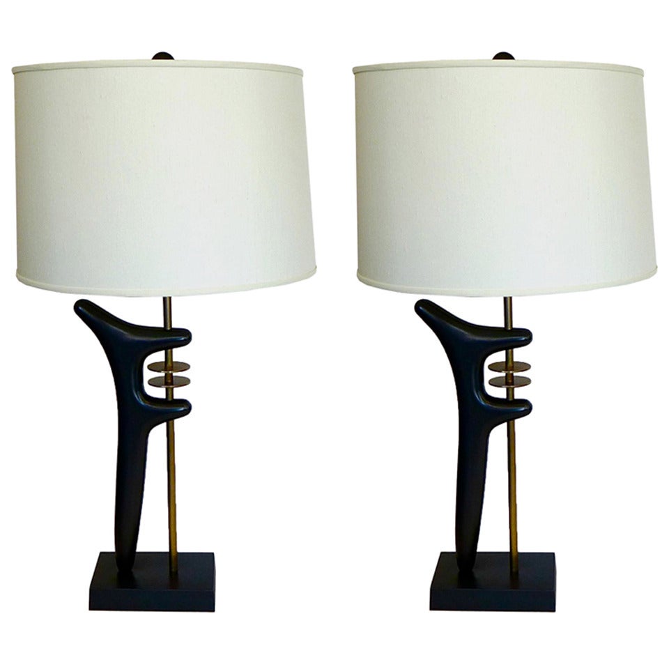 Pair of Opposing Biomorphic Lamps in Oil Rubbed Bronze and Brass For Sale