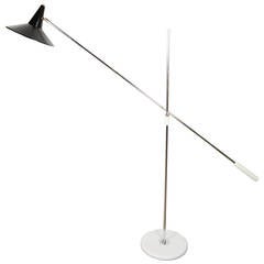 Anvia Adjustable Floor Lamp with Chrome Stem