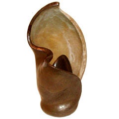 Vintage Sculptural Lamp by Phyllis Blundell