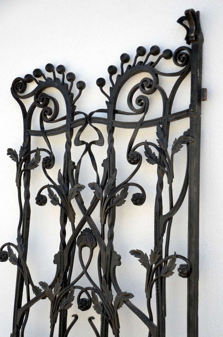 Art Nouveau Early 20th Century Wrought Iron Gate in the Style of Antoni Gaudi