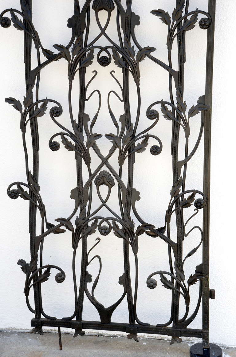 French Early 20th Century Wrought Iron Gate in the Style of Antoni Gaudi