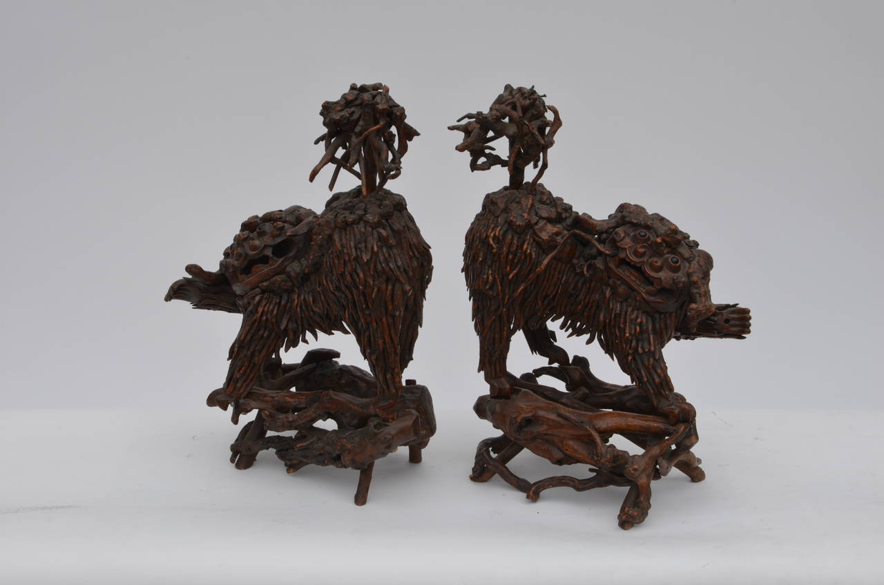 Pareja de Raros Perros Foo Chinos Tallados en Madera Chinoiserie en venta