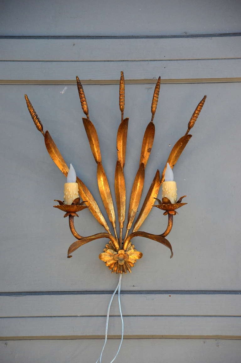 Coppia di eleganti applique francesi in metallo dorato