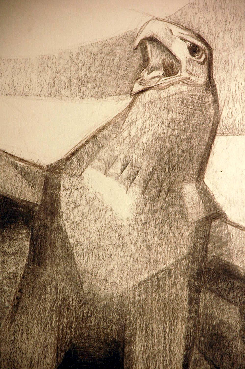 ""Aigle Pygargue" Kohlezeichnung von Henri-Robert Husset