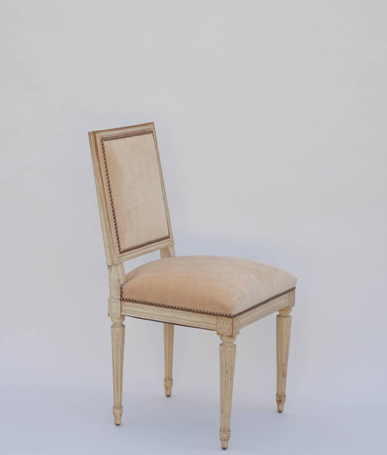 Set of 4 Chic Louis XVI style dining chairs or side chairs. Can be sold as a set of 4 or by the pair.  The upholstery has been restored with new cream velvet matching the original fabric. 19 in. seat height.