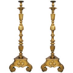 Pair Large Giltwood Candle Torchieres (GMD#1505)