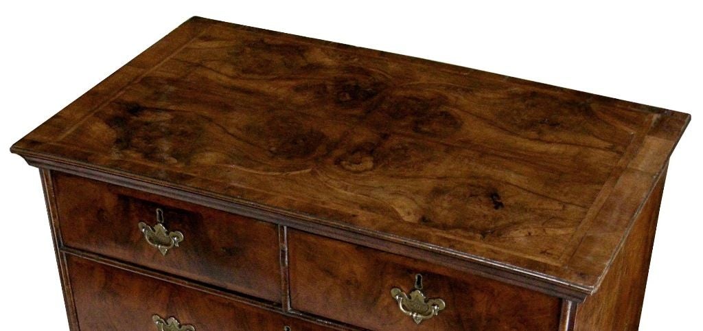 English William and Mary Burl Walnut Veneered 4-Drawer Chest on Stand w/1-Drawer (circa 1690-1700). Possibly replacement brass bails.
(Showroom Closing/Liquidation, Now on final sale for 6,500.00, reduced from 16,500.00)