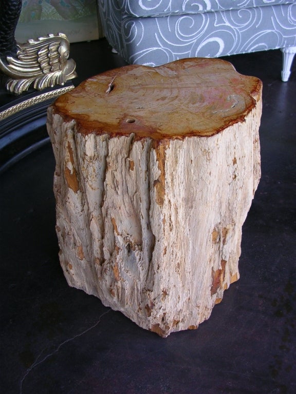 An impressive petrified wood table. The petrified wood is thousands of years old but was cut and polished in the 1980's.