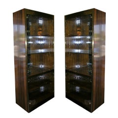 Pair of Mastercraft Rosewood and Brass Cabinets