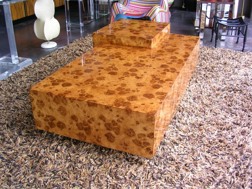 A faux tortoise shell two level coffee table. Larger lower section floats and is supported by a hidden platform underneath the table. Smaller section sits on the ground.