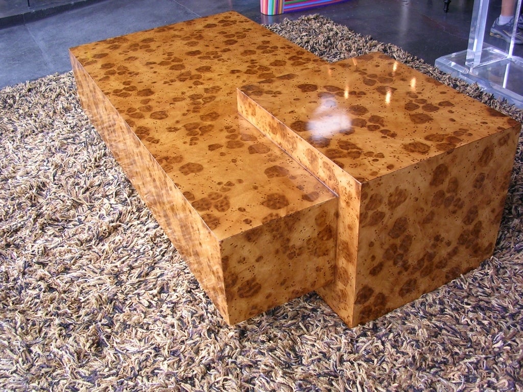 20th Century Faux Tortoise Shell Coffee Table