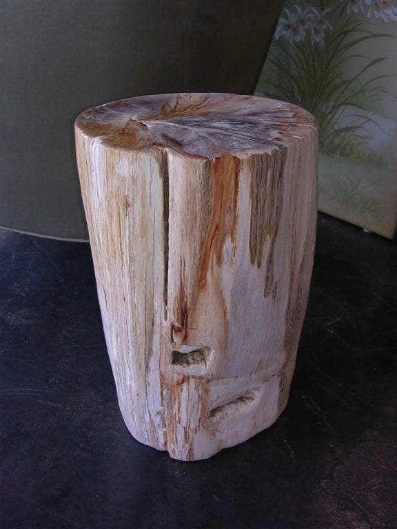 A table made of petrified wood that is thousands of years old. This one is polished on the sides as well as the top. Hand polished in New Mexico in the 1980's. Could also bbe used as a low pedestal.