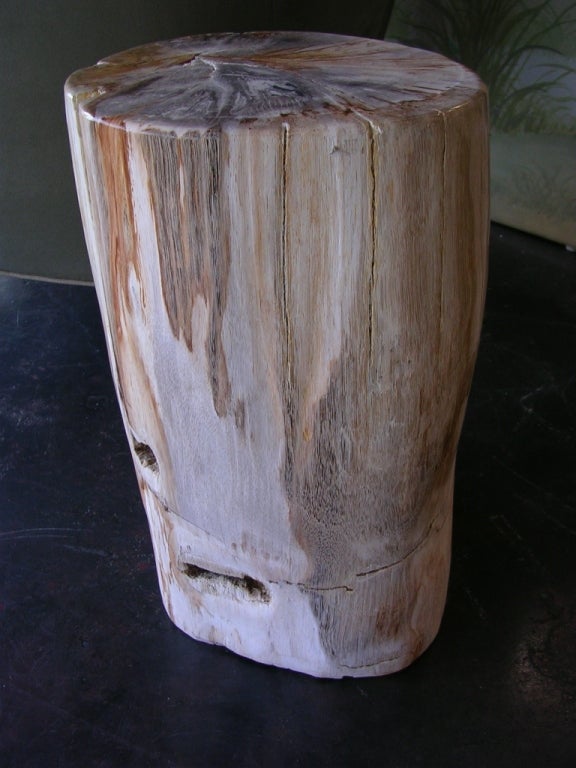 20th Century Petrifed Wood Table