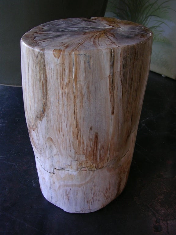 Petrifed Wood Table 1