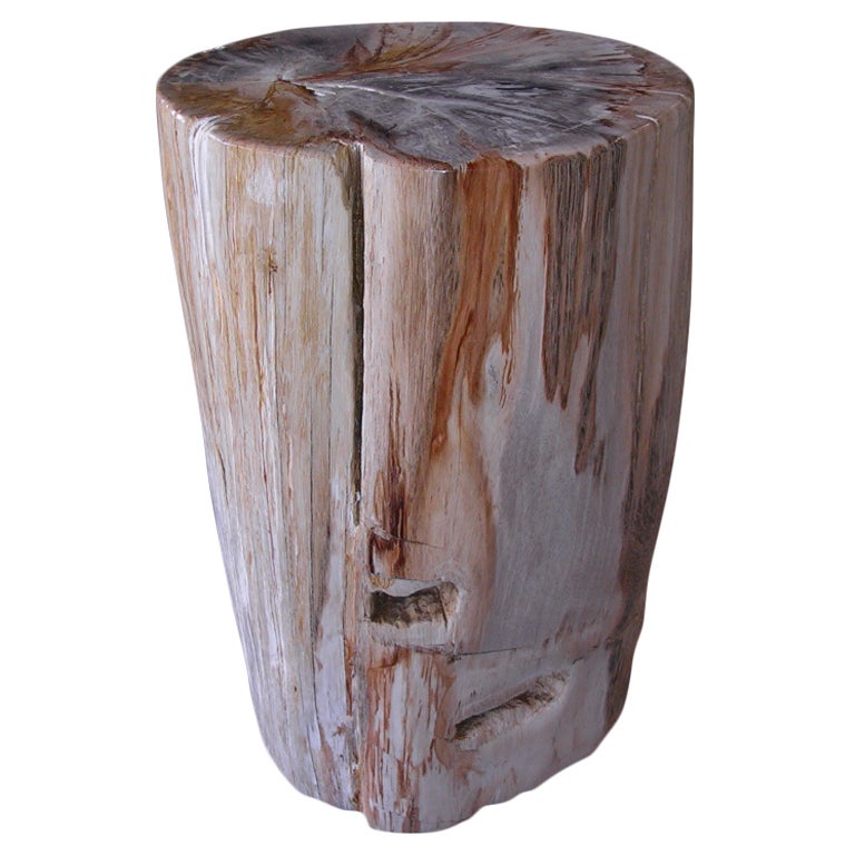 Petrifed Wood Table