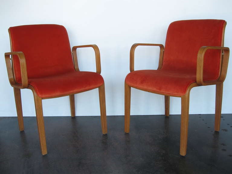 Pair Authentic Vintage Knoll International Chairs (with original stickers). Made from beautiful bent wood and burnt orange color velvet.