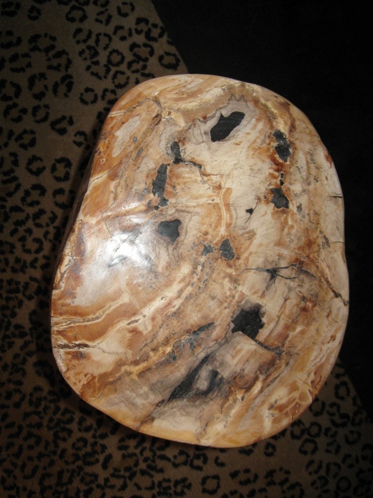 A gorgeous petrified wood table with yellows, browns and black colors.  Although made polished in the 1980's, the petrified wood is thousands of years old.