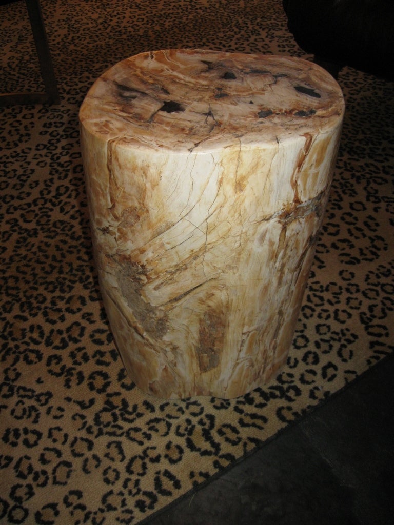 Petrified Wood Table In Excellent Condition In Los Angeles, CA