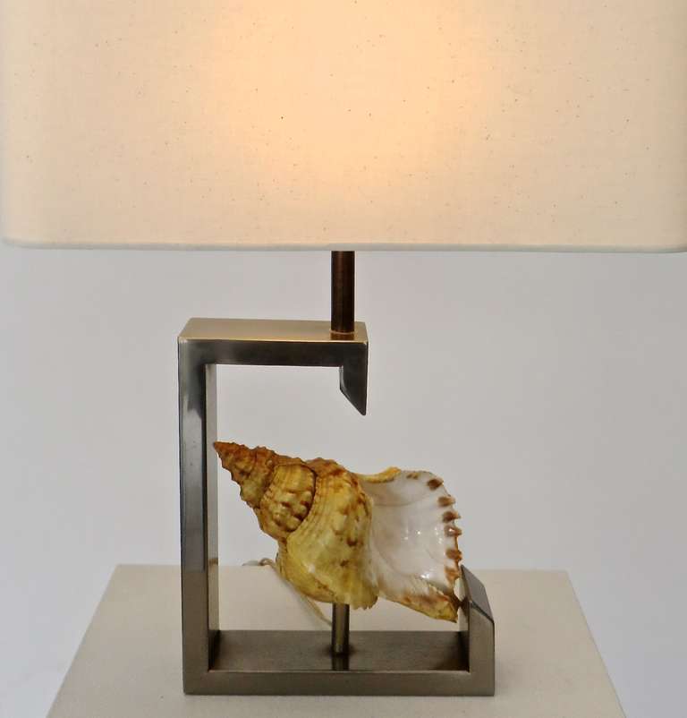 A French table lamp with real seashell surrounded by a very heavy wide nickel chrome frame, circa 1970. The very heavy chrome frame is 2.5